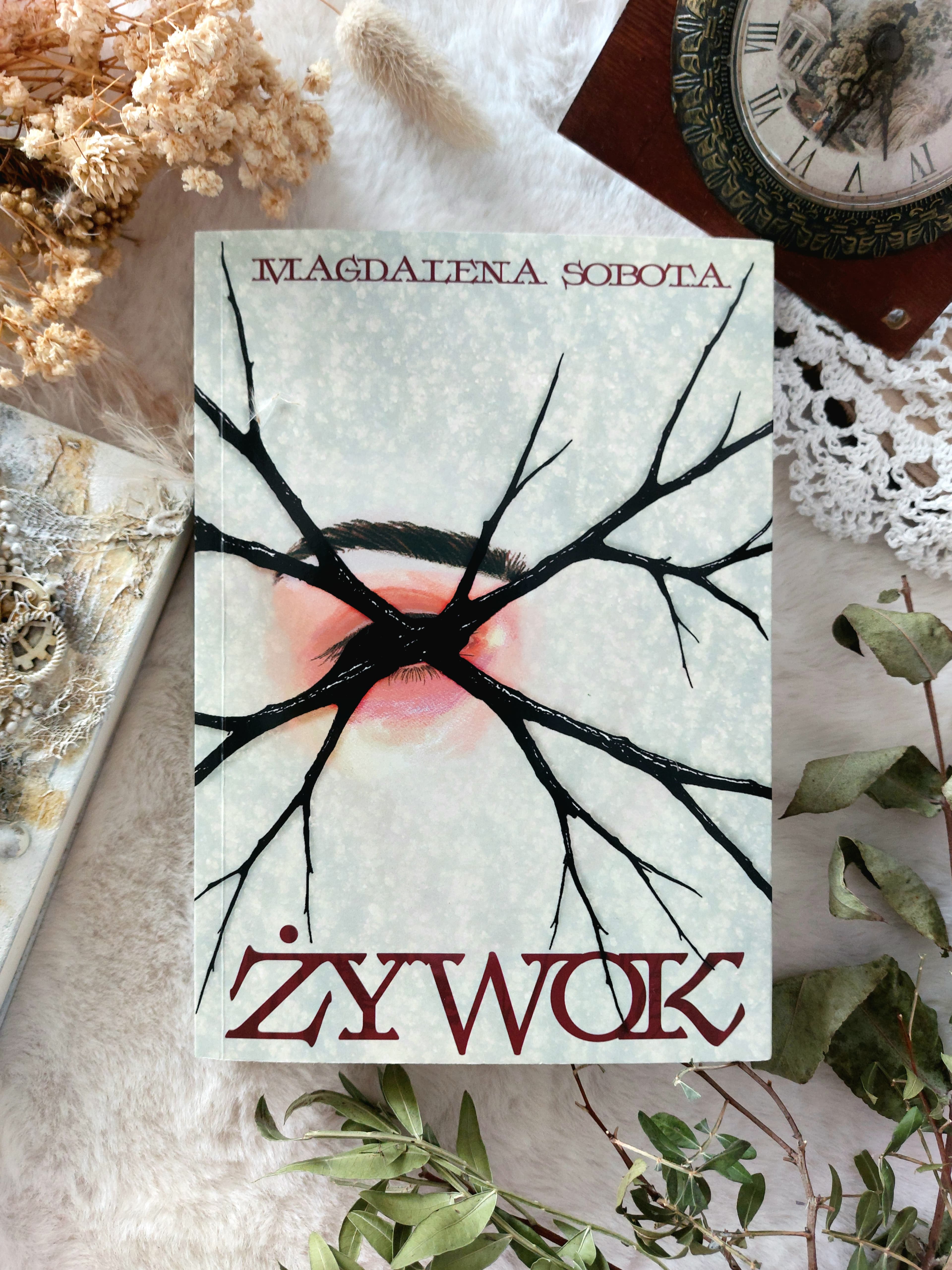 Okładka książki Żywok